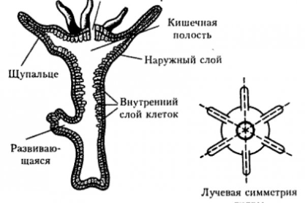 Кракен личный кабинет